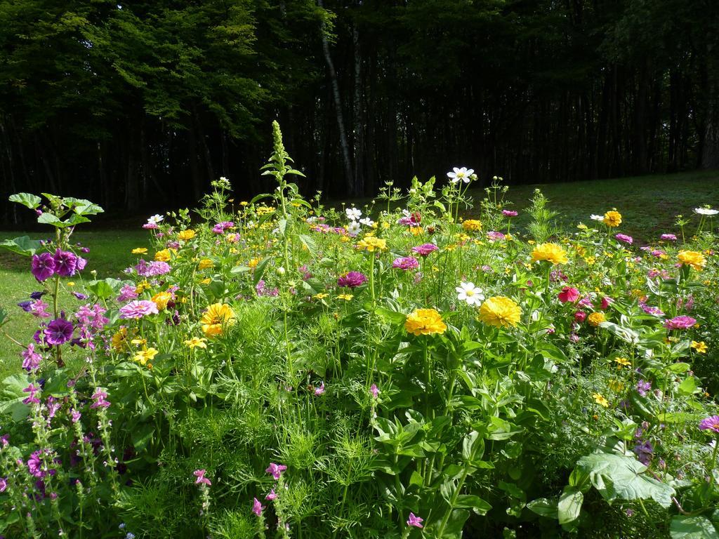 Chateau De La Houillere Bed & Breakfast Champagney Bagian luar foto