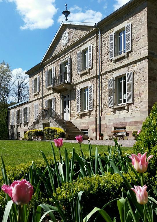 Chateau De La Houillere Bed & Breakfast Champagney Bagian luar foto