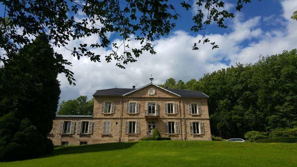 Chateau De La Houillere Bed & Breakfast Champagney Bagian luar foto