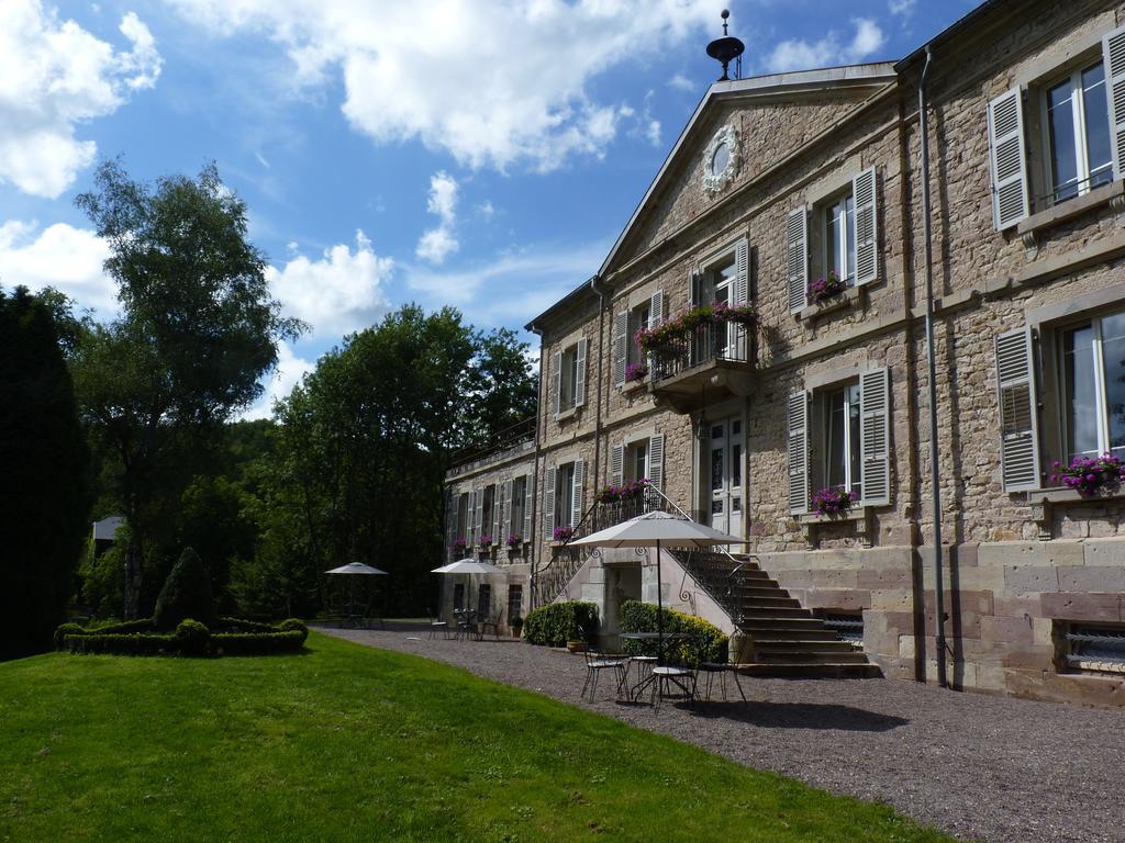 Chateau De La Houillere Bed & Breakfast Champagney Bagian luar foto